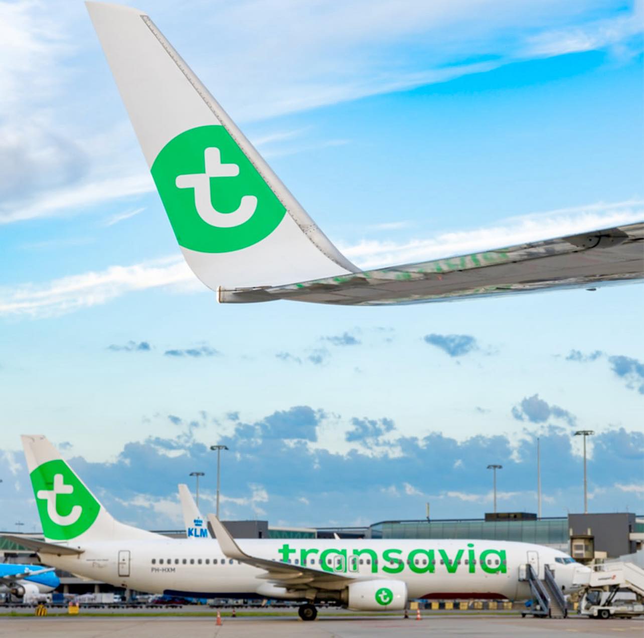 http://www.zvartnots.aero/Img/CMS/Transavia19.02.jpg