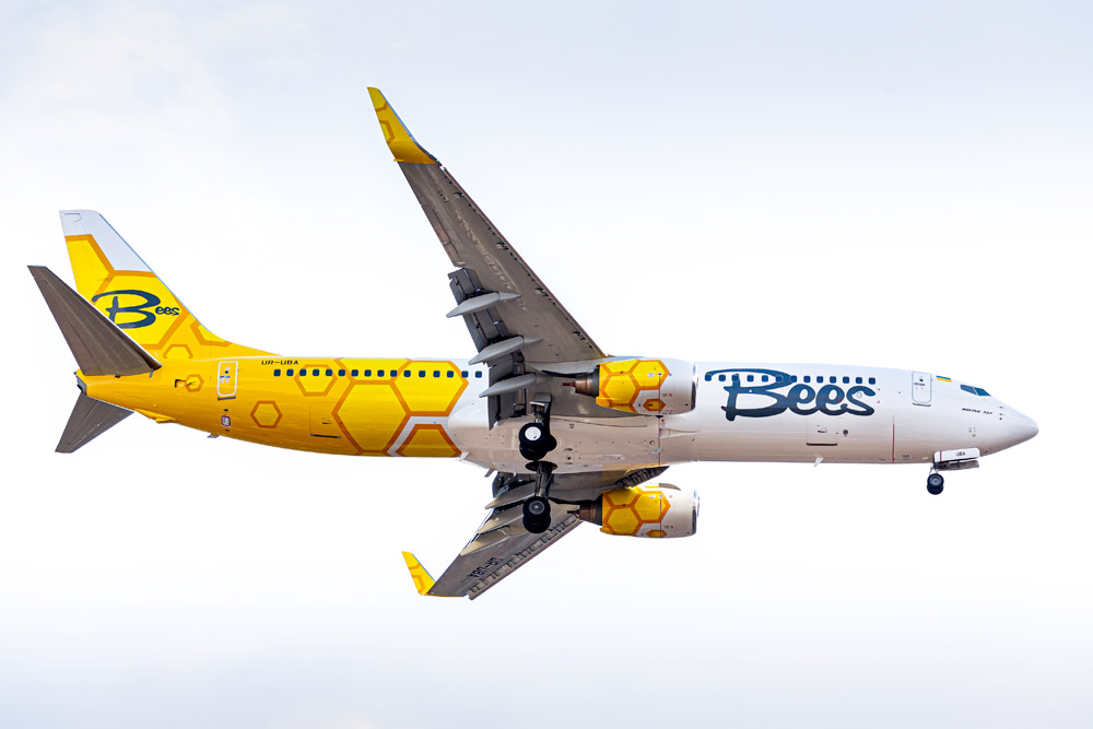 http://www.zvartnots.aero/Img/CMS/bees_airline_in_flight_dk2.jpg